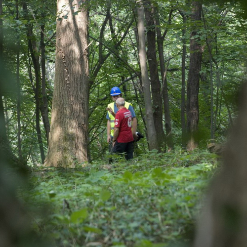 Attivit‡ con i ragazzi del Gruppo di Cavasso Nuovo n. 136 / 85489