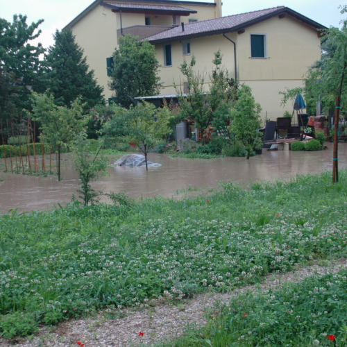 Foto allagamenti a Cordovado n. 6 / 24462