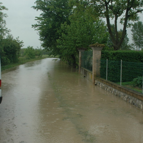 Foto allagamenti a Morsano n. 23 / 24453