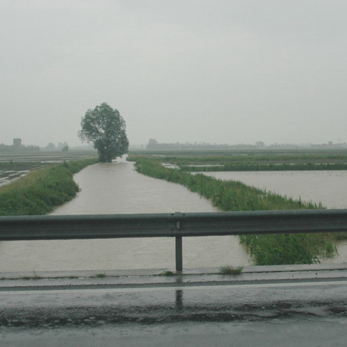 Foto allagamenti a Cordovado n. 26 / 24482