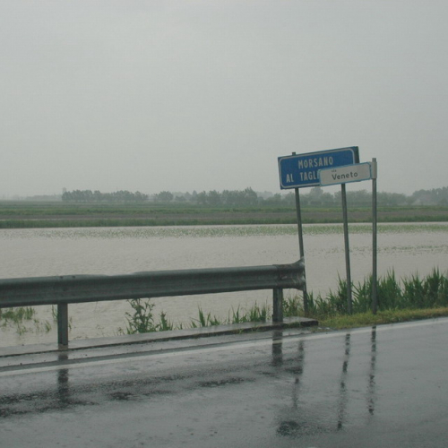 Foto allagamenti a Cordovado n. 27 / 24483