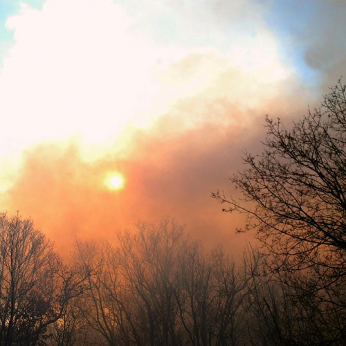 Incendio boschivo Monrupino-Trieste n. 13 / 76992
