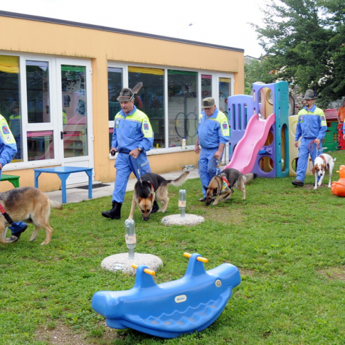Addestramento a Campo di Accoglienza Fanna 2013" n. 11""ddestramento a "Campo di Accoglienza F""destramento a "Campo d""estrame" / 95776