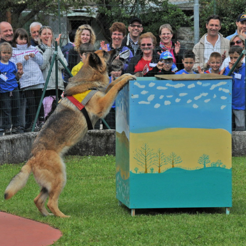 Addestramento a Campo di Accoglienza Fanna 2013" n. 12""ddestramento a "Campo di Accoglienza F""destramento a "Campo d""estrame" / 95777