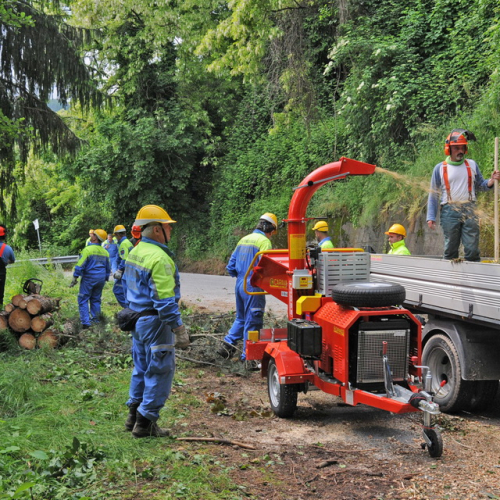 Addestramento a Campo di Accoglienza Fanna 2013" n. 13""ddestramento a "Campo di Accoglienza F""destramento a "Campo d""estrame" / 95778