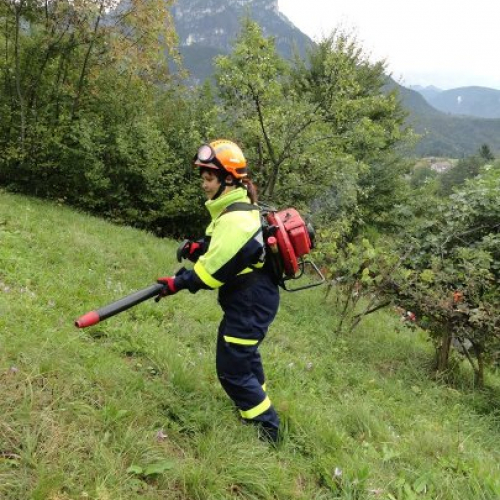 DSC_411.jpg / 114627