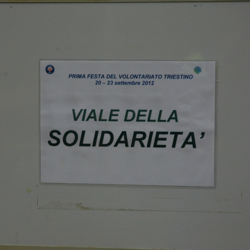 Prima Festa del Volontariato n. 23 / 86303