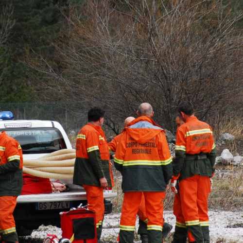 Attivit‡ AIB ai Campi scuola n. 3 / 106290