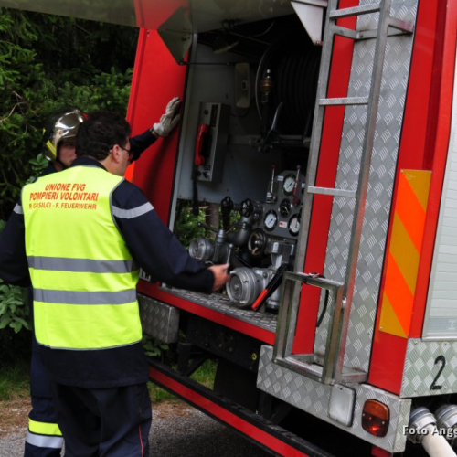 DSC_481.JPG / 114643