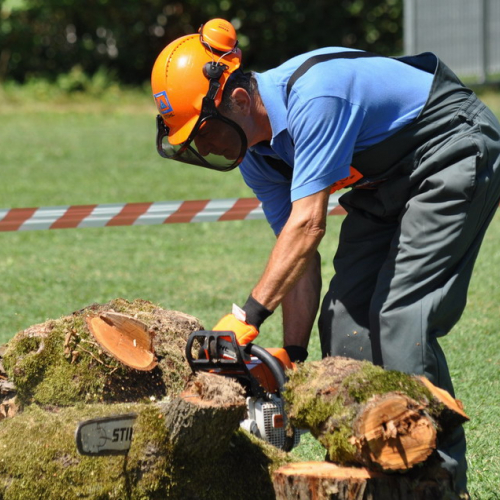 Presentazione del Gruppo di PC n. 6 / 54740