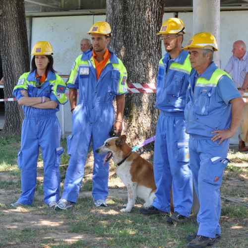 Presentazione del Gruppo di PC n. 8 / 54742