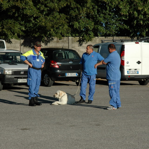 6∞ meeting di Protezione civile - Mereto 2011 n. 9 / 68185