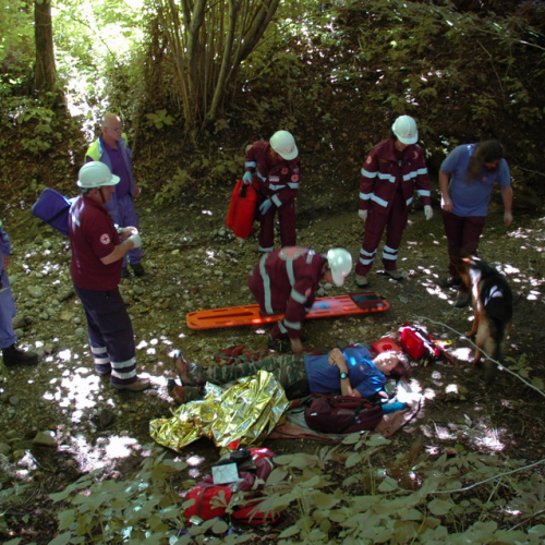 6∞ meeting di Protezione civile - Mereto 2011 n. 20 / 68196