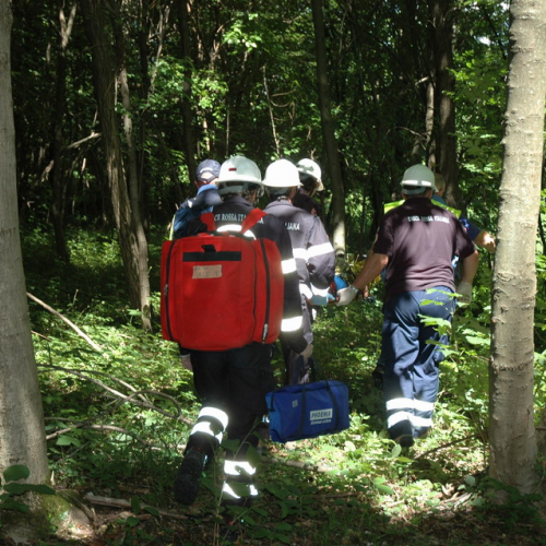 6∞ meeting di Protezione civile - Mereto 2011 n. 33 / 68209