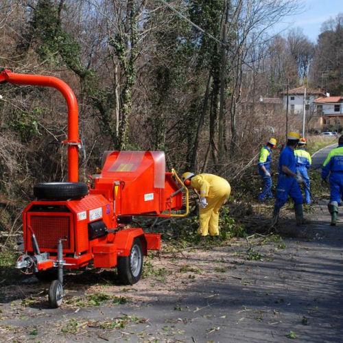 Puliamo Martignacco 2009 2 / 35902