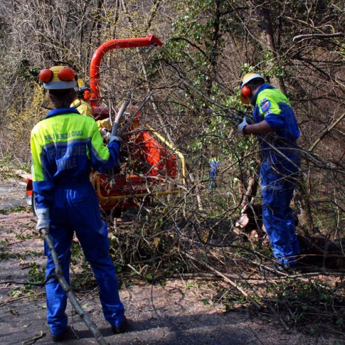 Puliamo Martignacco 2009 5 / 35905