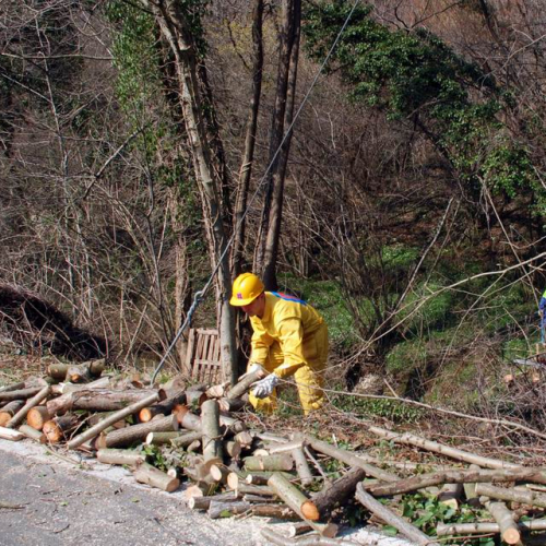 Puliamo Martignacco 2009 8 / 35908