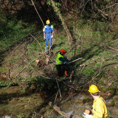Puliamo Martignacco 2009 9 / 35909