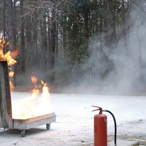 Campi Scuola (20.03.2013) n. 17 / 92682