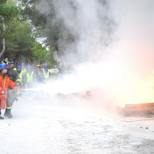 Campi Scuola (20.03.2013) n. 19 / 92684