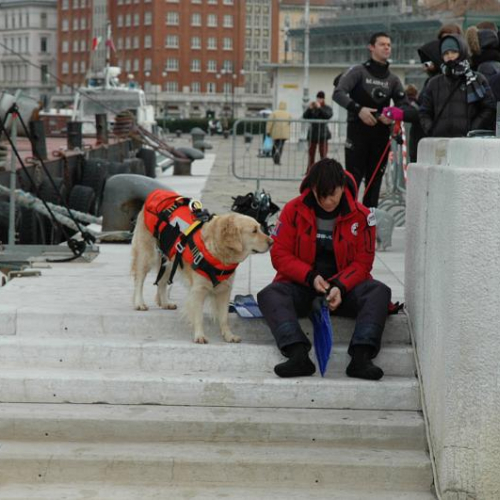 Messa di Natale subacquea n. 5 / 59752