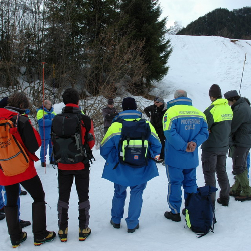 Claut 24-25/01 n. 13 / 34562