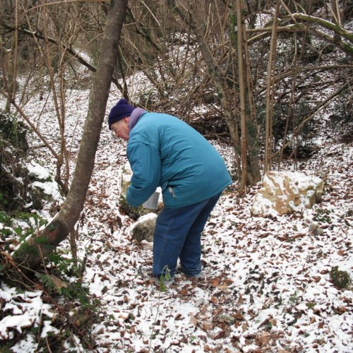 Attivit‡ 21/12 n. 4 / 46616