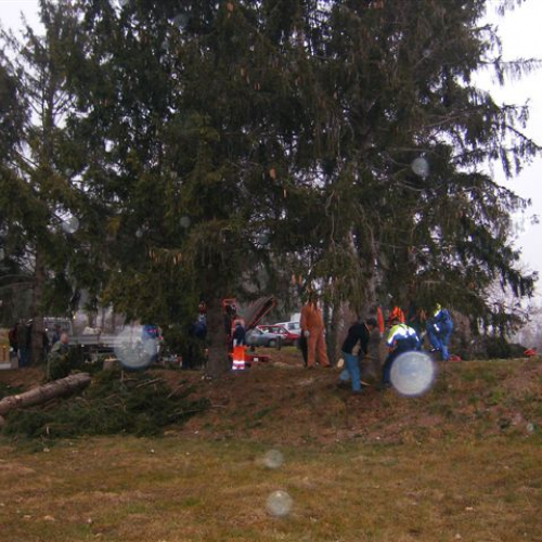 foto 04 / 7634