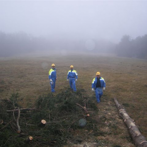 foto 06 / 7636