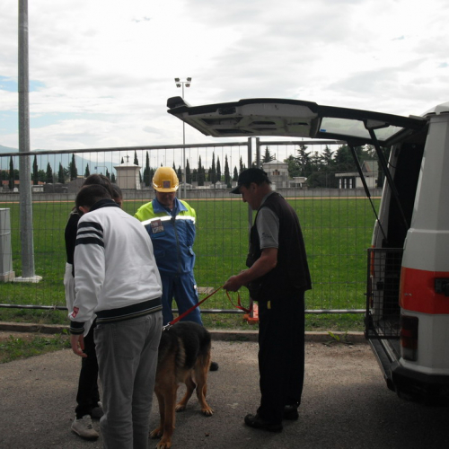 Prova evacuazione scuole n. 16 / 51862