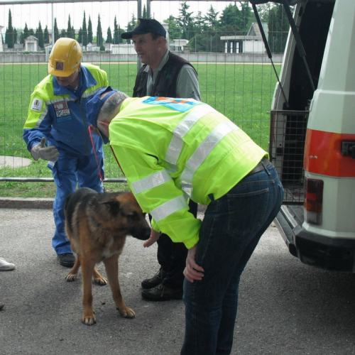 Prova evacuazione scuole n. 17 / 51863