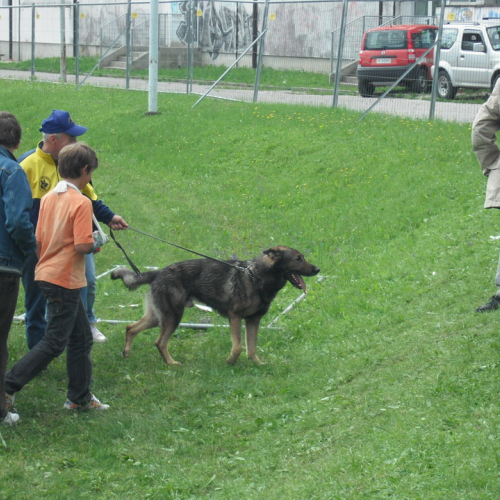 Prova evacuazione scuole n. 23 / 51869