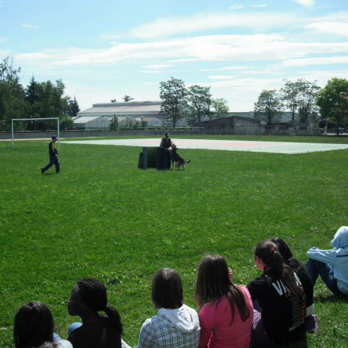 Prova evacuazione scuole n. 25 / 51871