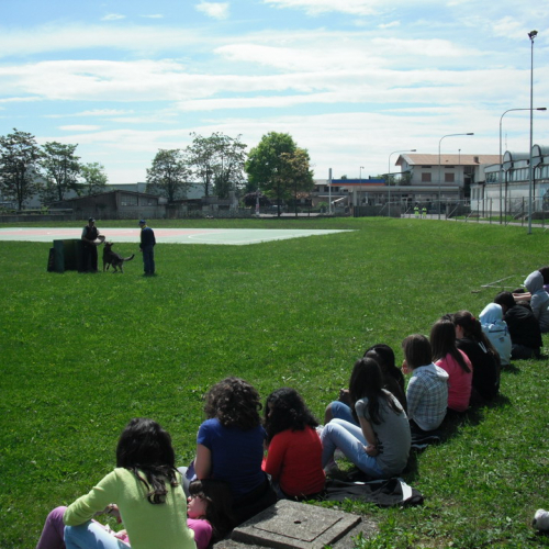 Prova evacuazione scuole n. 26 / 51872