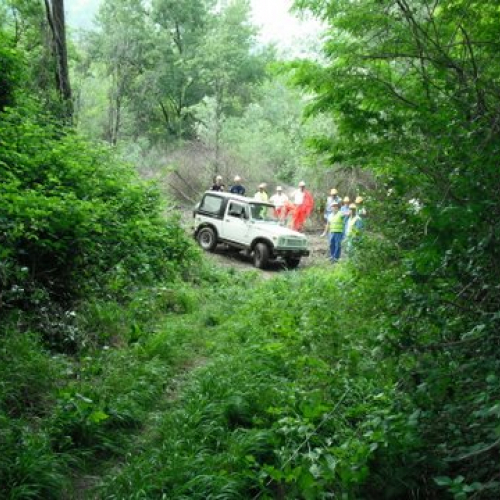 uso del tirfor e del verricello n. 4 / 53499