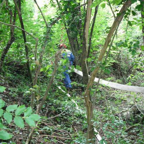 Addestramento 04/09/10 n. 10 / 55611