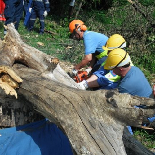 uso del tirfor e del verricello n. 7 / 53502