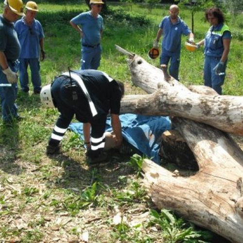 uso del tirfor e del verricello n. 8 / 53503