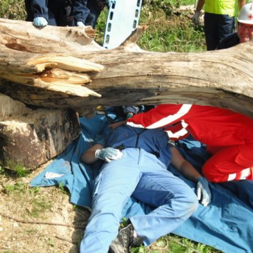 uso del tirfor e del verricello n. 9 / 53504