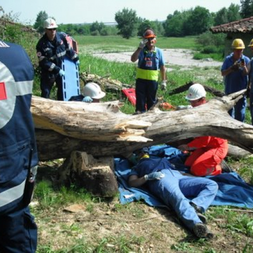 uso del tirfor e del verricello n. 10 / 53505