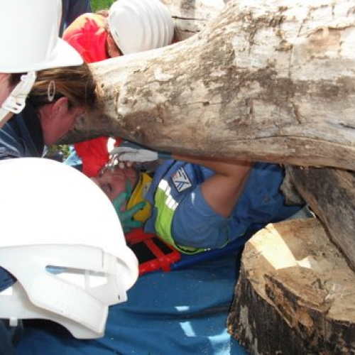 uso del tirfor e del verricello n. 11 / 53506