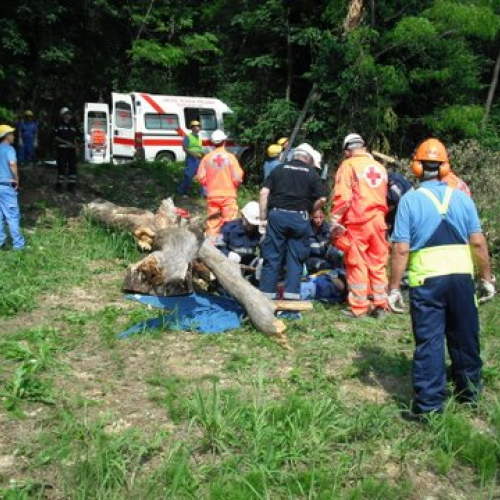 uso del tirfor e del verricello n. 13 / 53508