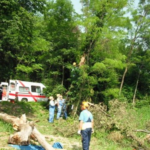 uso del tirfor e del verricello n. 15 / 53510