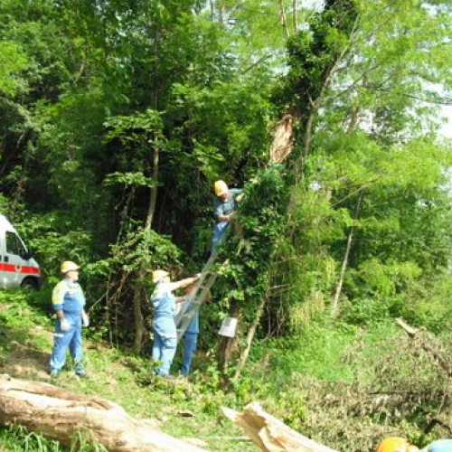 uso del tirfor e del verricello n. 16 / 53511