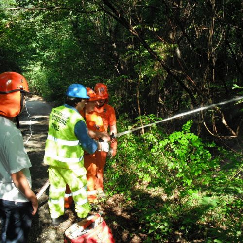 Addestramento 04/09/10 n. 11 / 55612