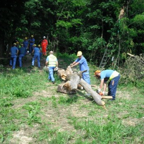 uso del tirfor e del verricello n. 17 / 53512