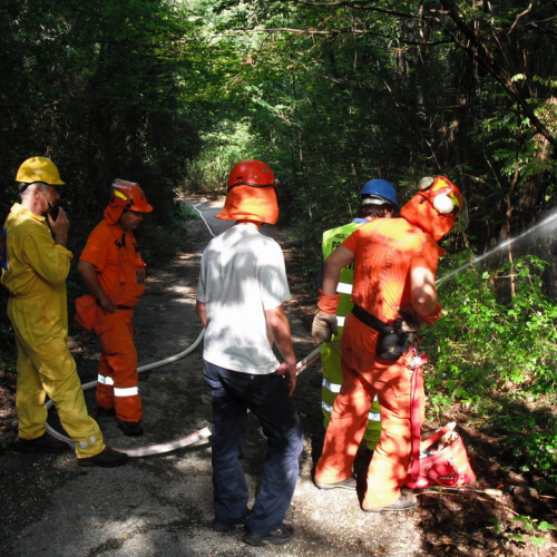 Addestramento 04/09/10 n. 12 / 55613