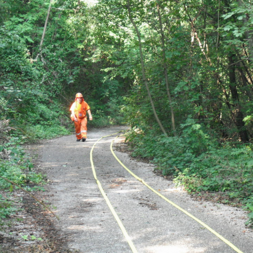 Addestramento 04/09/10 n. 15 / 55616