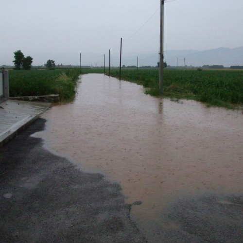 Ipplis - Premariacco 6 / 25345