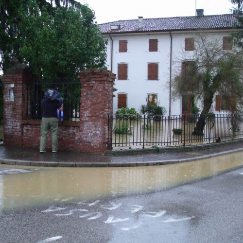 Ipplis - Premariacco 7 / 25346